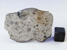 NWA 5613 Diogenite Meteorite