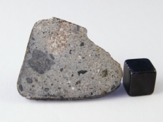 NWA 5614 Howardite Meteorite