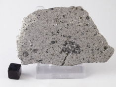 NWA 5616 Howardite Meteorite