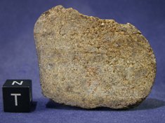 Martian Meteorites
