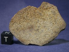 Martian Meteorites