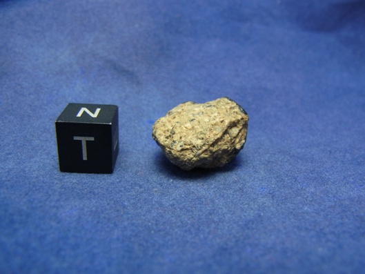 NWA 8339 Eucrite Meteorite
