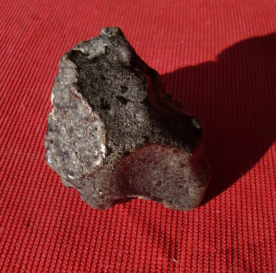 New Fall Shergottite Meteorites