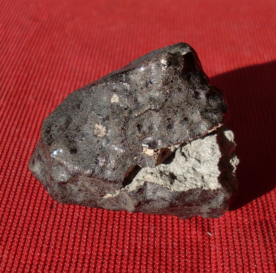 New Fall Shergottite Meteorites