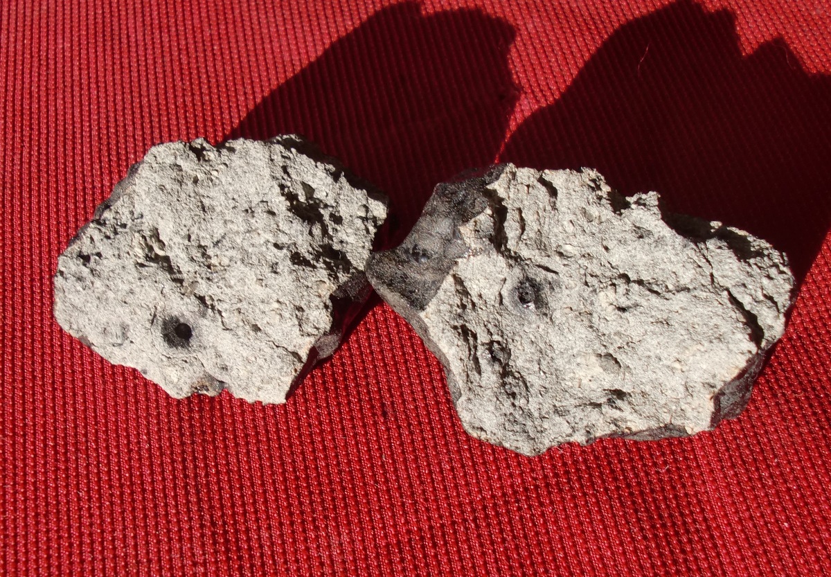 New Fall Shergottite Meteorites