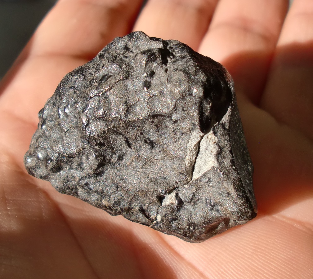 New Fall Shergottite Meteorites