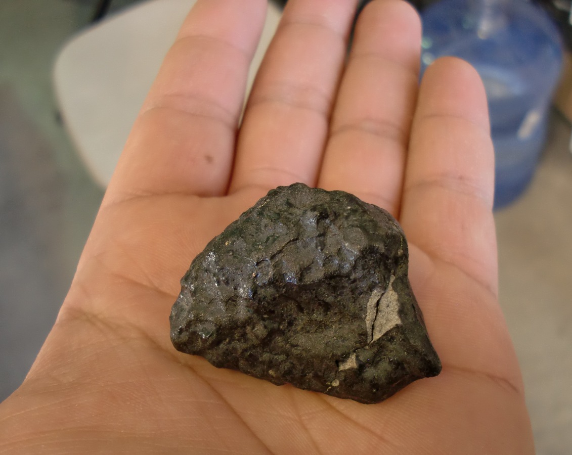 New Fall Shergottite Meteorites