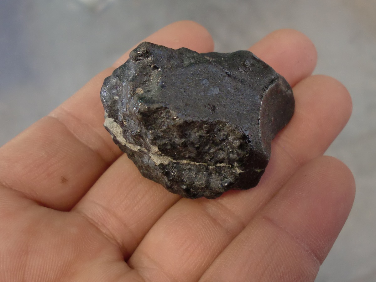 New Fall Shergottite Meteorites