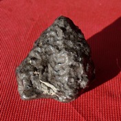 New Fall Shergottite Meteorites