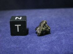 New Fall Shergottite Meteorites