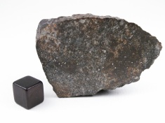 NWA 869 chondrite meteorite