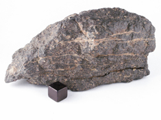 NWA 1465 CV3 meteorite