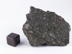 NWA 779 CV meteorite