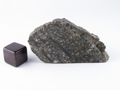 NWA 779 CV meteorite