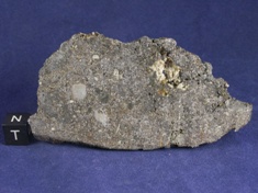NWA 1951 Mesosiderite meteorite