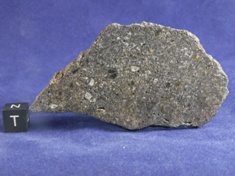 NWA 1951 Mesosiderite meteorite