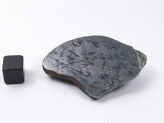 Taza meteorite